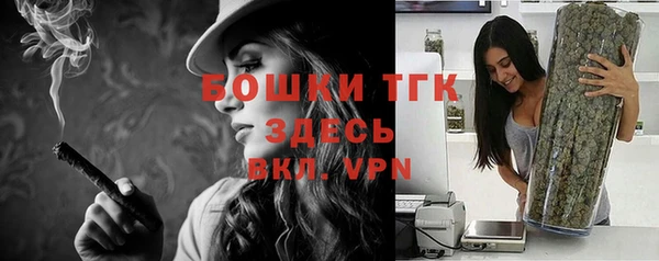 тгк Новозыбков
