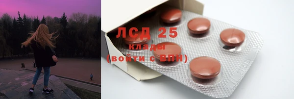 PSILOCYBIN Новодвинск
